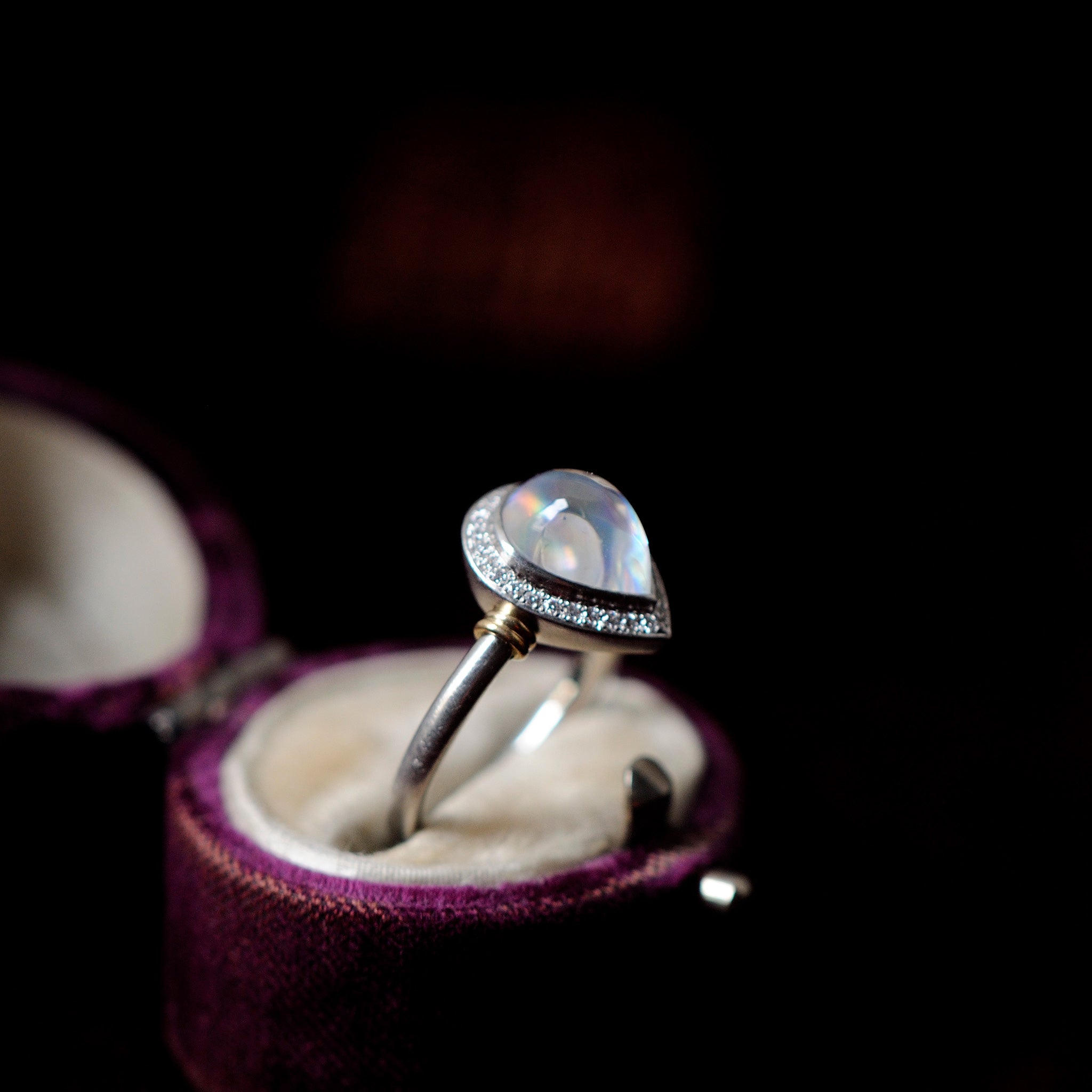 graceline Guardian ring