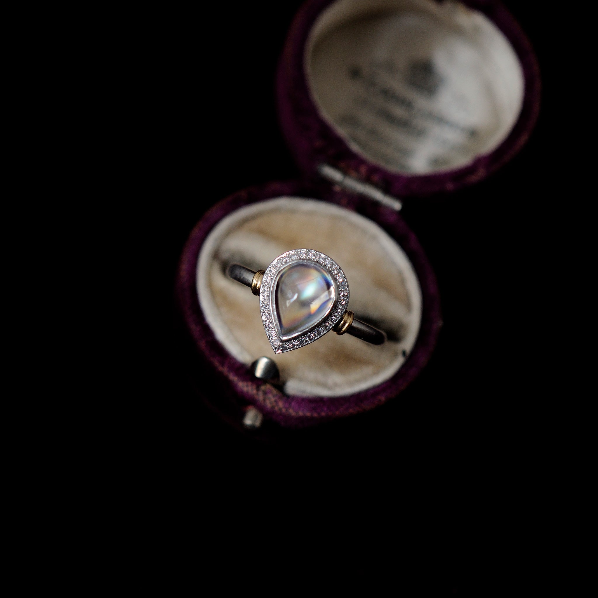 graceline Guardian ring