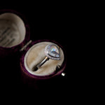 graceline Guardian ring