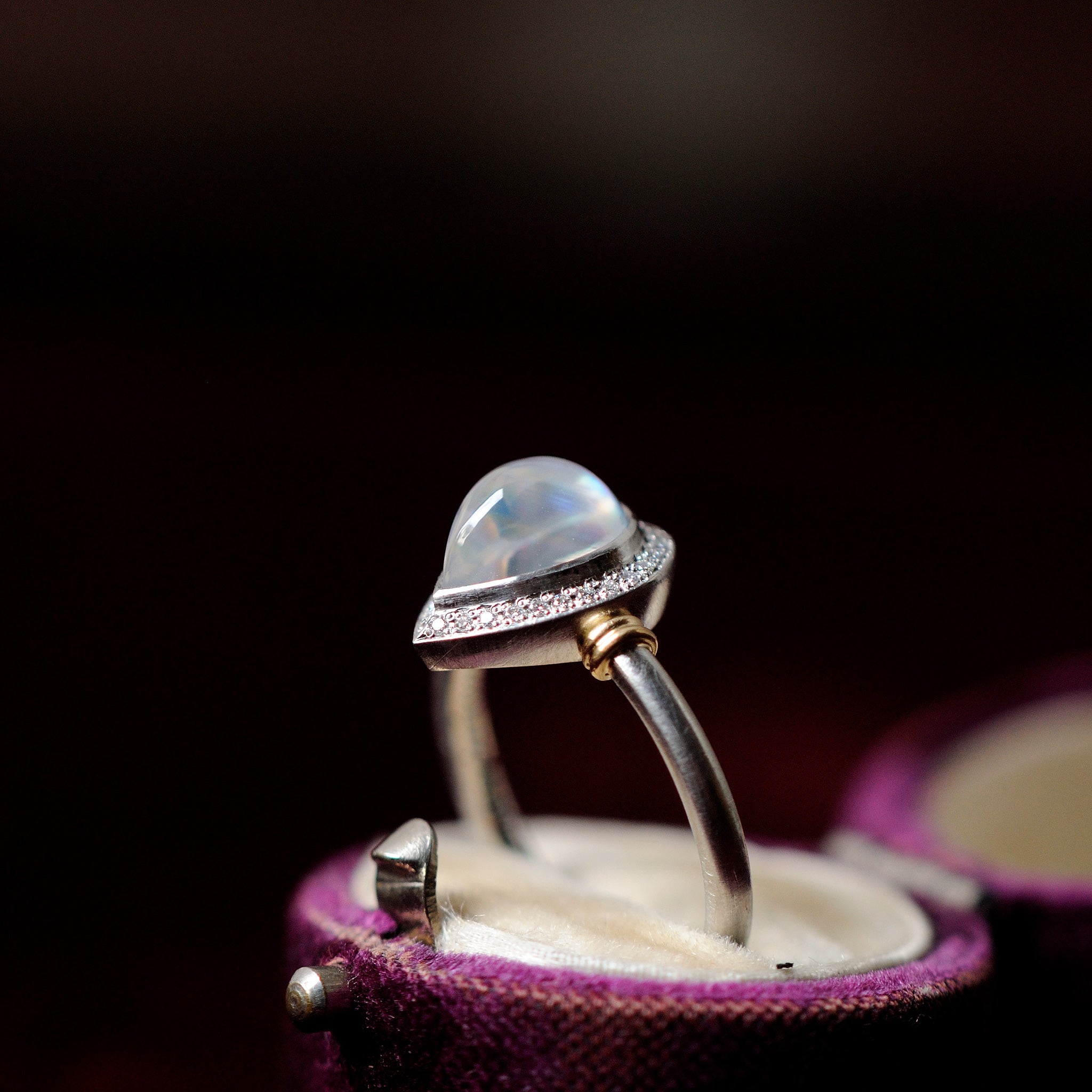 graceline Guardian ring