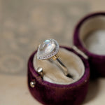 graceline Guardian ring