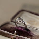 grace line Carousel pinky ring/カルーセルピンキーリング