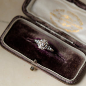 grace line Carousel pinky ring/カルーセルピンキーリング