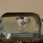 grace line Carousel pinky ring/カルーセルピンキーリング