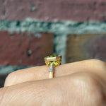 graceline Octagon classic ring