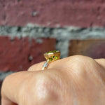 graceline Octagon classic ring