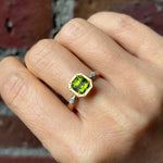 graceline Octagon classic ring