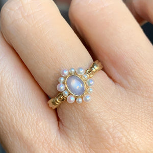 graceline　pearl ruff ring / 真珠の襞襟リング　スターサファイア
